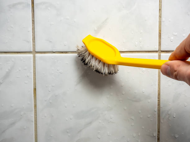 Best Black Mold Removal  in Oakwood, PA