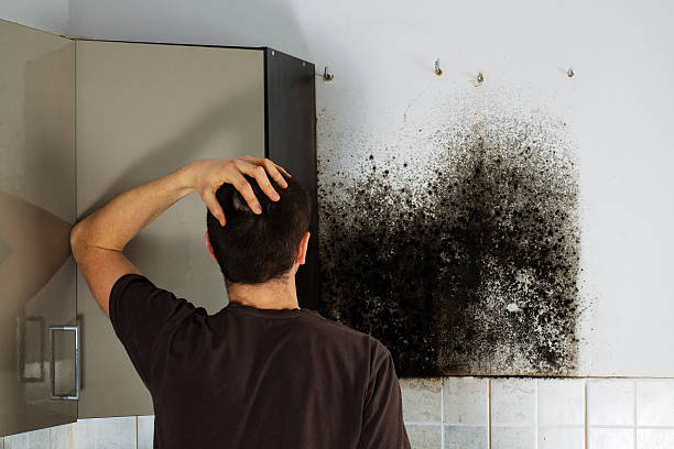 Office Mold Removal Services in Oakwood, PA